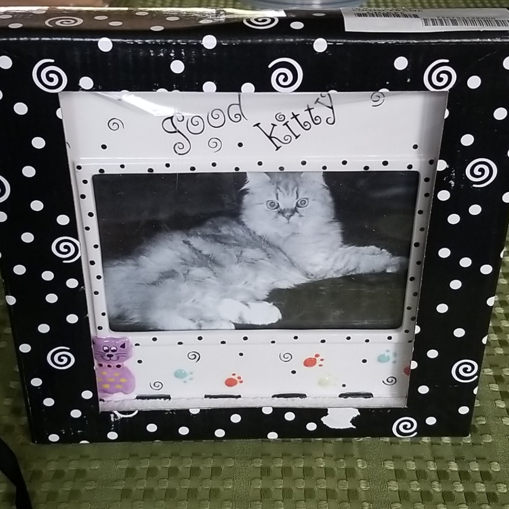 Good Kitty Picture Frame - Picture 1 of 8